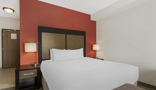 Standard Room, 1 King Bed, Non Smoking, Refrigerator & Microwave