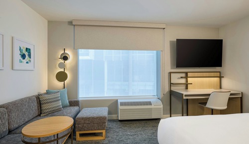 Studio, 1 King Bed with Sofa bed