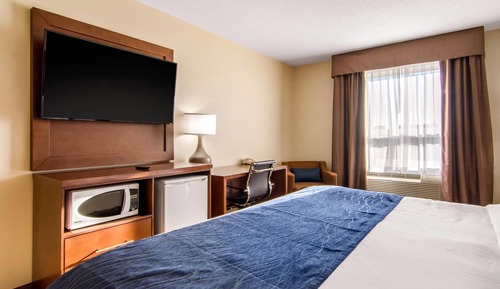 Room, 1 King Bed, Non Smoking