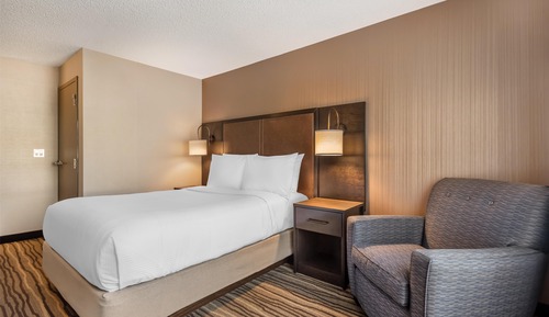 Standard Room, 1 Queen Bed, Accessible, Refrigerator & Microwave