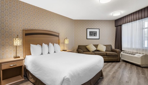 Standard Room, 1 Queen Bed, Accessible, Refrigerator & Microwave (Walk-in Shower;with Sofabed)
