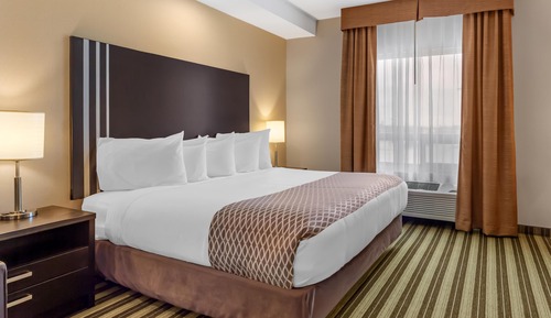 Standard Room, 1 King Bed, Non Smoking, Kitchen (Walk-in Shower)