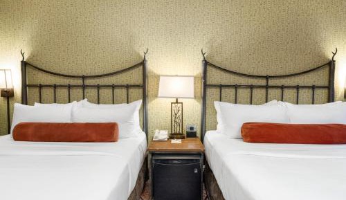 Superior Two Queen Room