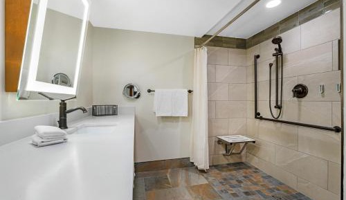 One-Bedroom Queen Suite with Roll-in Shower
