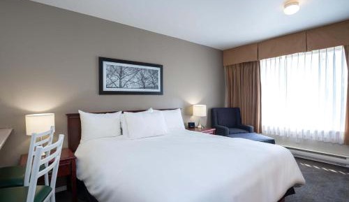 Studio Suite, 1 Queen Bed, Kitchen