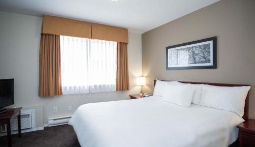 Standard Suite, 1 King Bed, Sofa Bed, Kitchen