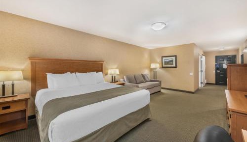 King Room with Mobility Accessible Roll-In Shower and Sofa Bed