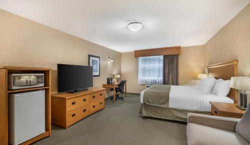 King Room with Mobility Accessible Roll-In Shower and Sofa Bed