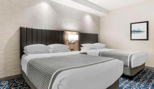 Queen Suite with Two Queen Beds and Kitchenette