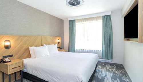Standard Suite, 1 King Bed, Sofa Bed, Kitchen