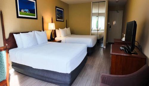 Queen Room with Two Queen Beds - Pet Friendly/Non-Smoking