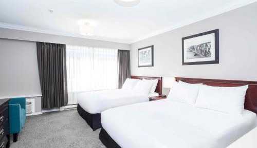 Studio Suite, 2 Queen Beds, Kitchen
