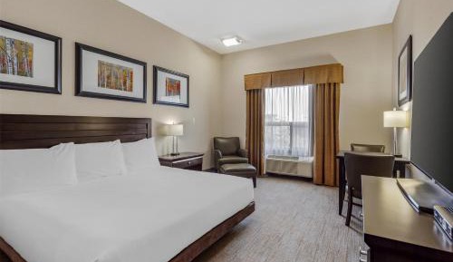 King Room with Roll-In Shower - Disability Access