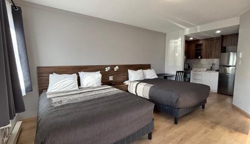 Deluxe Queen Suite