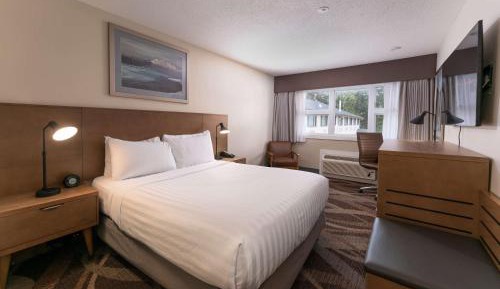 Queen Suite with Sofa Bed