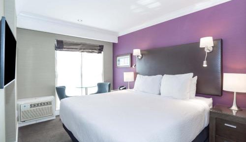 Standard Suite, 1 King Bed, Kitchenette, City View