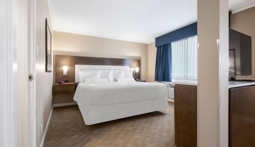 King Suite with Sofa Bed and Jacuzzi