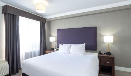 Jacuzzi Suite, 1 King Bed, Kitchen
