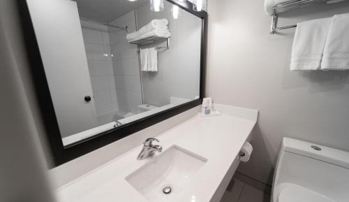 Deluxe King Suite
