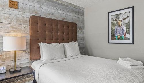 Double Room - Self Check-In 