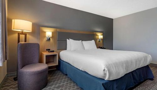 Executive King Room