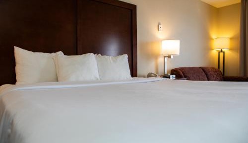King Suite with Sofa Bed