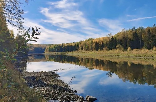 Whitecourt Cabin | Cozy Log Guesthouse with River Views