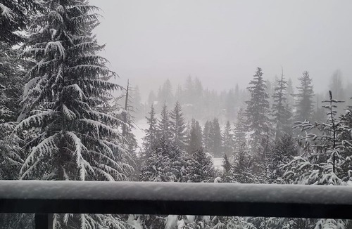 Whistler Ski Chalet | Whistler Family Chalet - Sleep 8