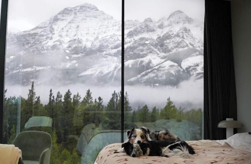 Kananaskis Cabin | Skyridge Glamping