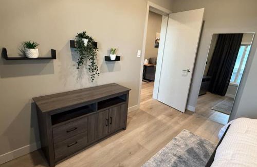 Southeast Calgary House | Luxurious and Cozy 1 Bedroom Basement Suite Patio
