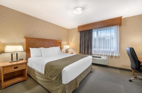Sicamous Hotel | Best Western Sicamous Inn
