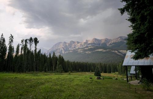 Golden Hotel | Rustic Beaverfoot Lodge Room N8
