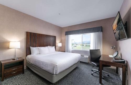 Cranbrook Hotel | Prestige Cranbrook Hotel, BW Premier Collection