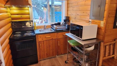 Revelstoke Cabin | Mt. Revelstoke Alpine Chalets