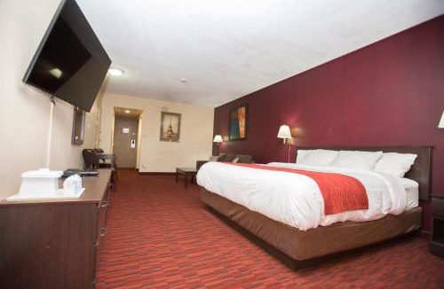 Southside Hotel | Argyll Plaza Hotel