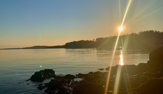 Quiet ocean front private 2 bedroom/2 bathroom suite, dog friendly.