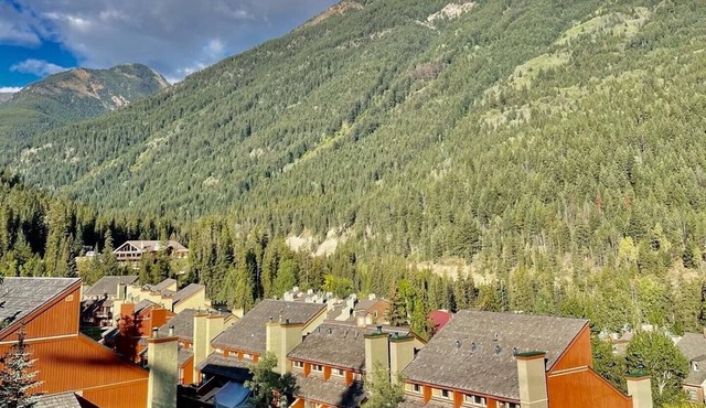 Lower Village at Panorama only steps from the Gondola! in Panorama