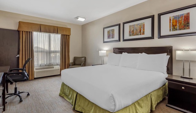 Best Western Wainwright Inn & Suites