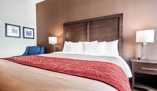 Comfort Inn & Suites