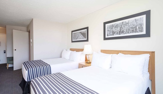 Sandman Inn McBride