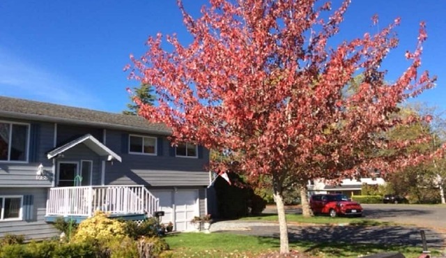 Modernized 1 Bedroom suite close to downtown Sidney in Sidney