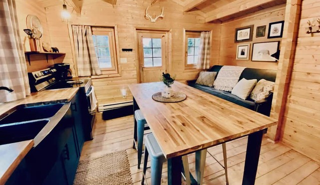 Peaceful cabin in the mountains with pond view. Pet friendly!