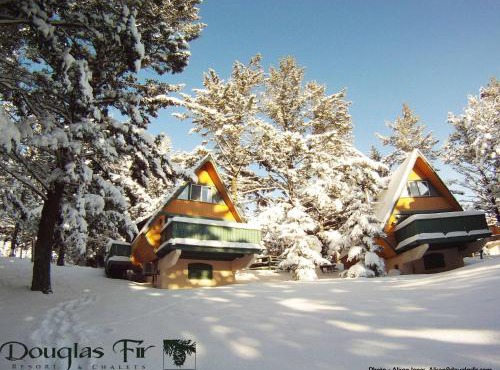 Douglas Fir Resort & Chalets