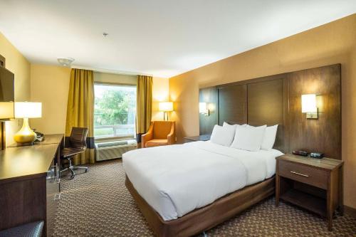 Comfort Inn & Suites